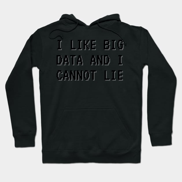 I LIKE BIG DATA AND I CANNOT LIE Hoodie by Toad House Pixels